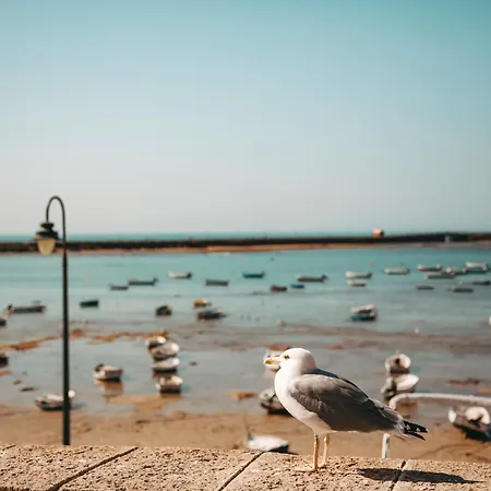 Hidden Gem Gran Teatro Falla By Apartmentsincadiz Cádiz