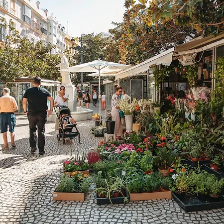 Hidden Gem Gran Teatro Falla By Apartmentsincadiz *