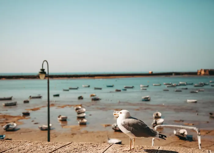 Hidden Gem Gran Teatro Falla By Apartmentsincadiz Кадіс